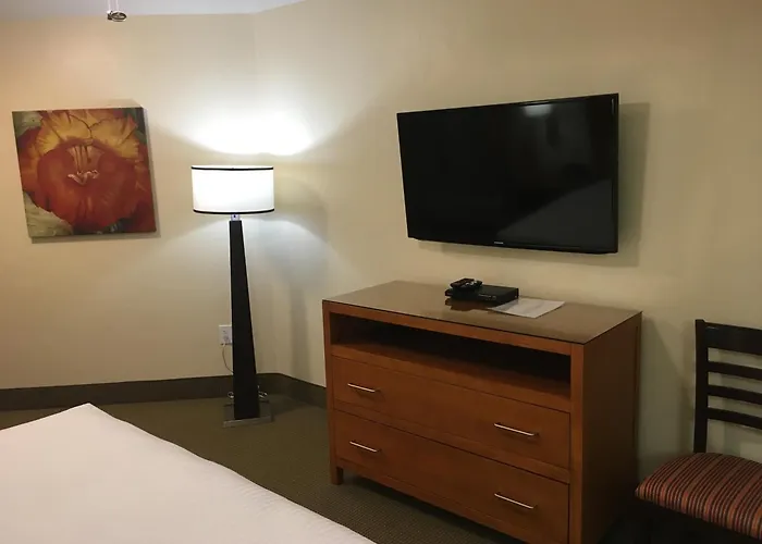 Hotel Hilton Vacation Club Varsity Club 3*